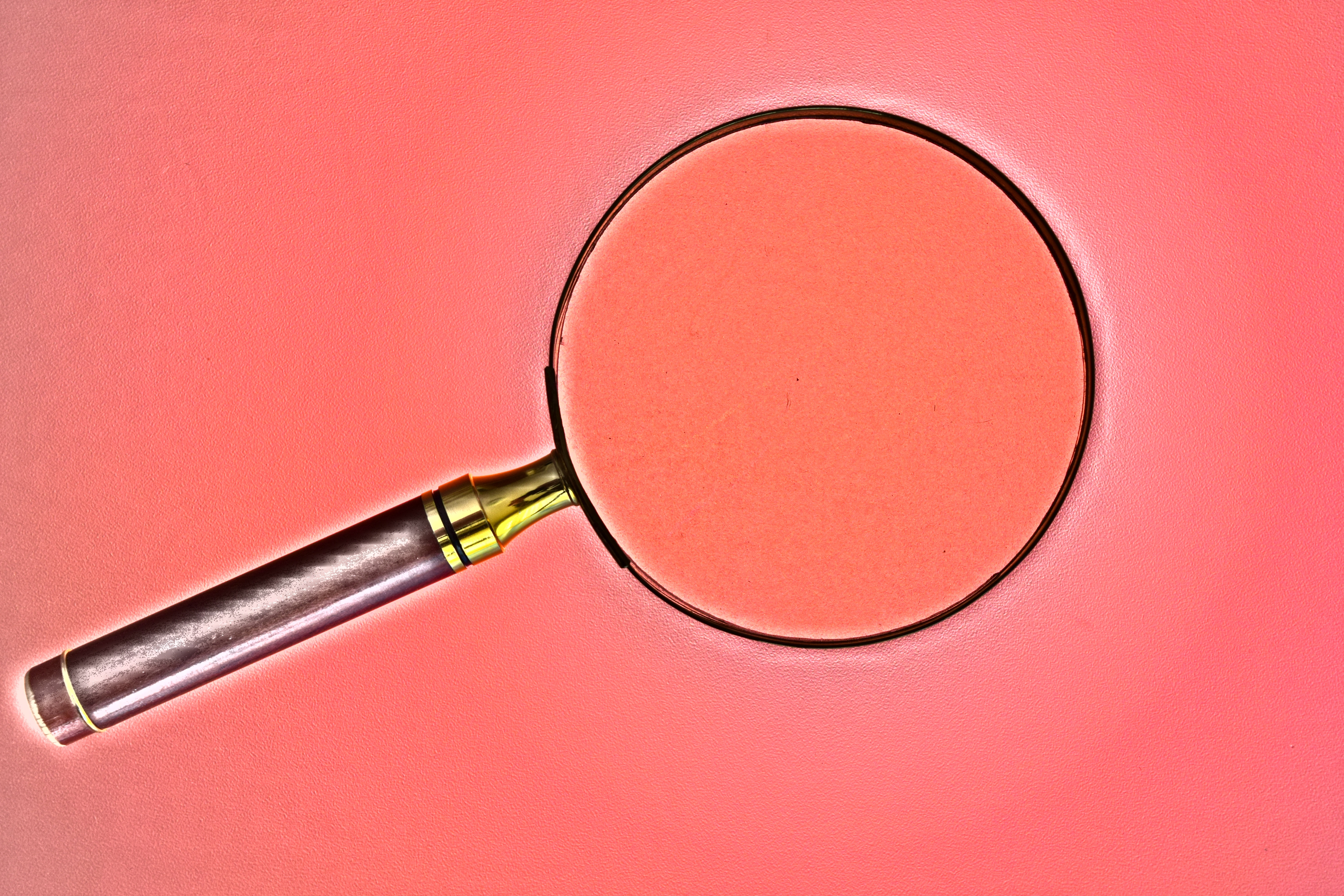 Focus examine search