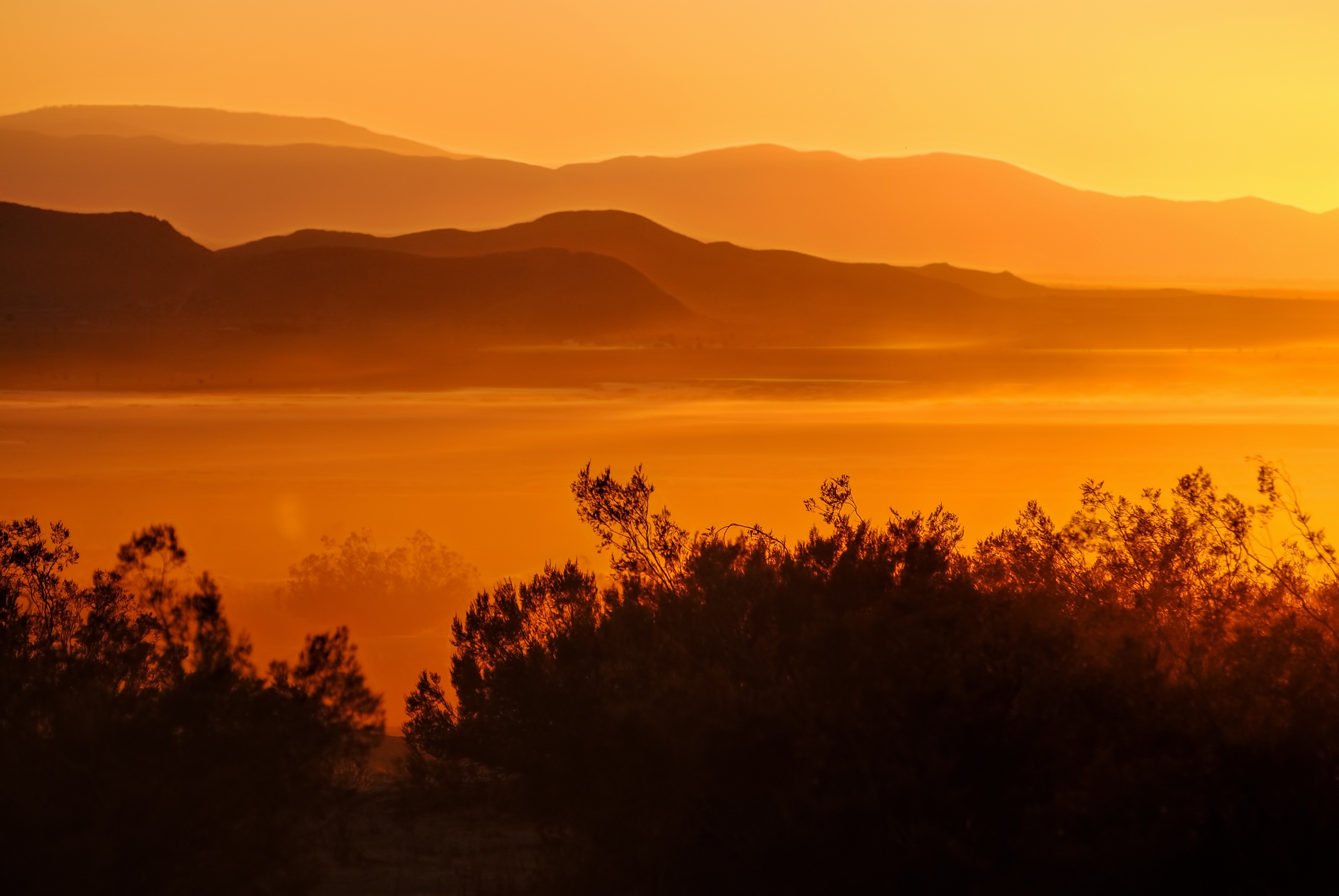 Desert california mojave
