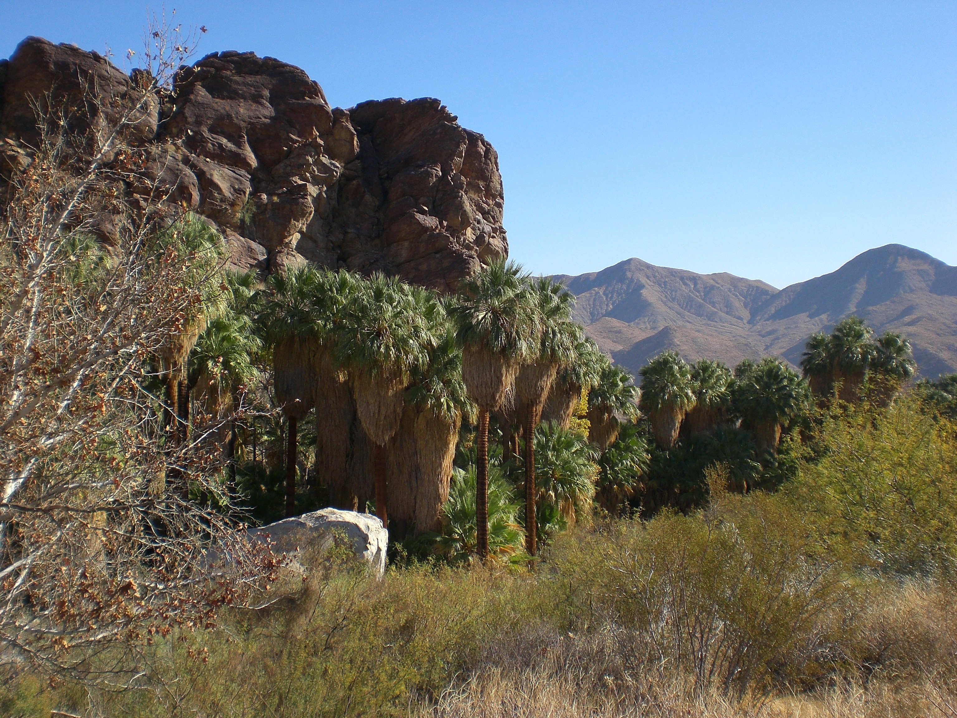 California desert