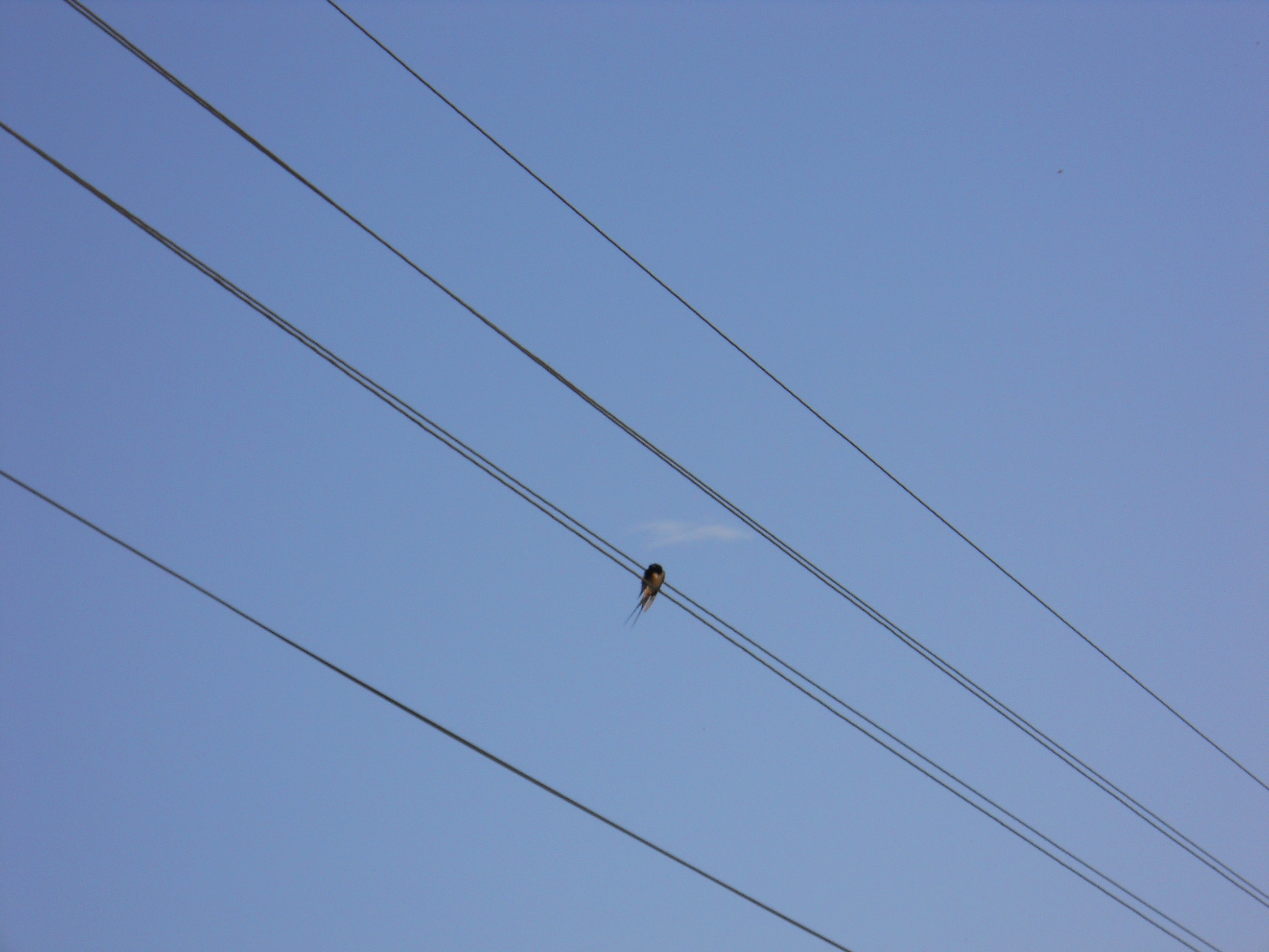 Sky blue sky alone