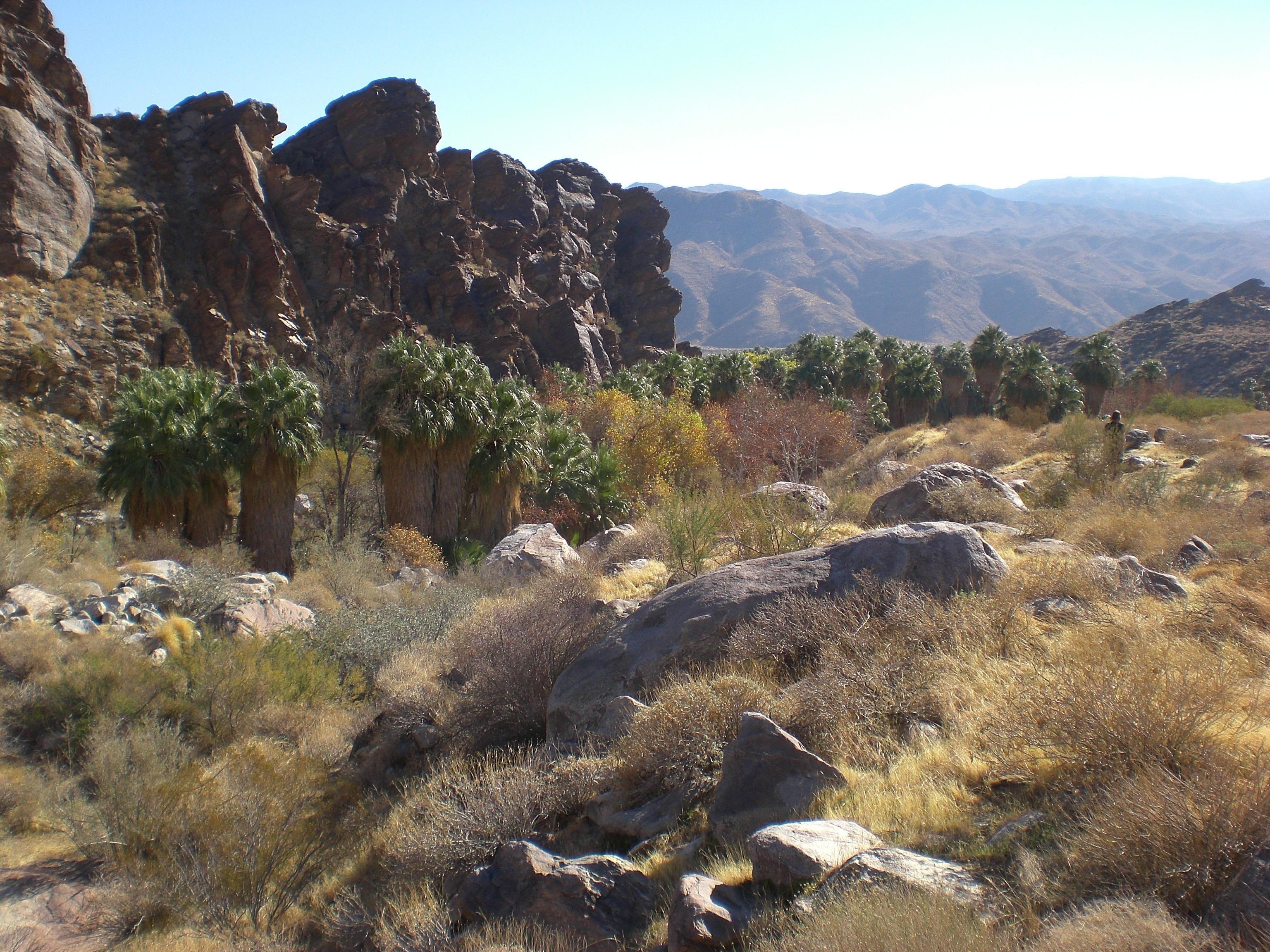 California desert